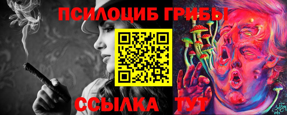 Псилоцибиновые грибы Psilocybine cubensis Глазов