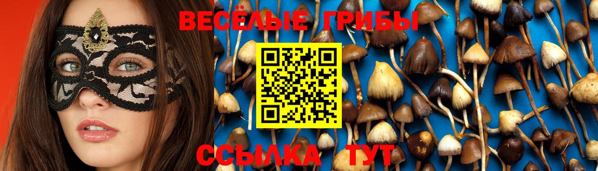 Глазов  Галлюциногенные грибы прущие грибы  Вход с VPN 